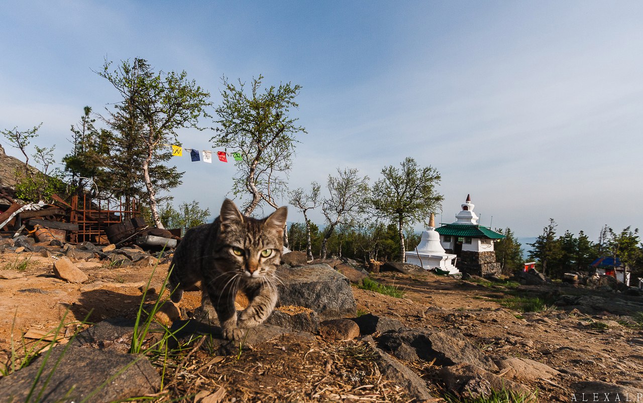 Kachkanar (Качканар)